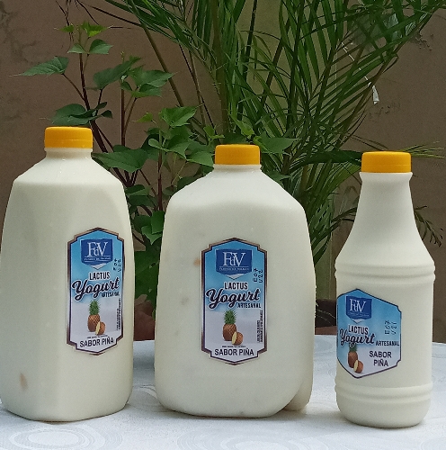 Yogurt galón piña 🍍