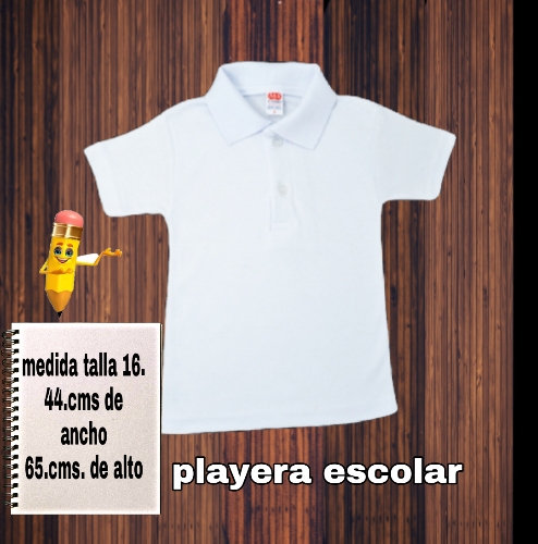 Niño Playera escolar talla 16