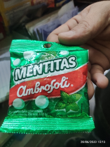 Mentita