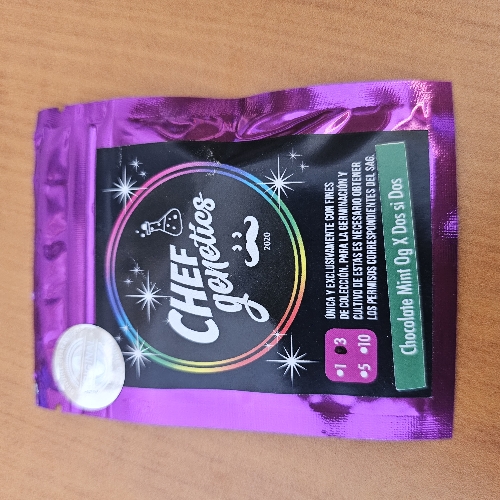 Semila de colección chocolate mint og dos si dos índica