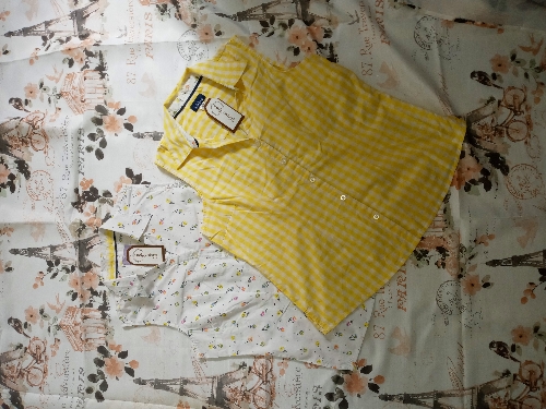 Camisa BASIC. LAURA