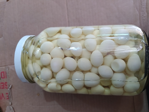 Ovo codorna 1.8 kg