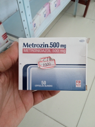 Metrozin 500 mg siegfried