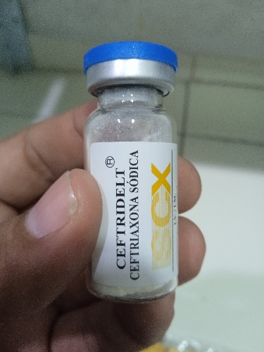 Ceftridelt ceftriaxona inyectable
