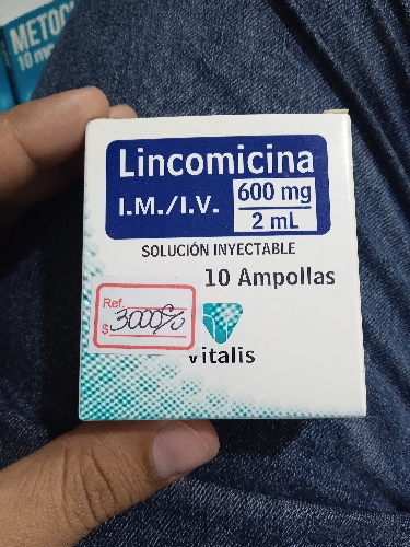 Lincomicina 600mg Vitalis