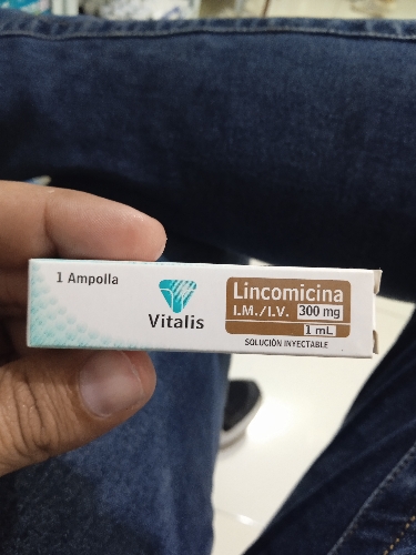 Lincomicina ampolla 300mg Vitalis