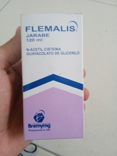 Flemalis jarabe x 120ml Bremyng