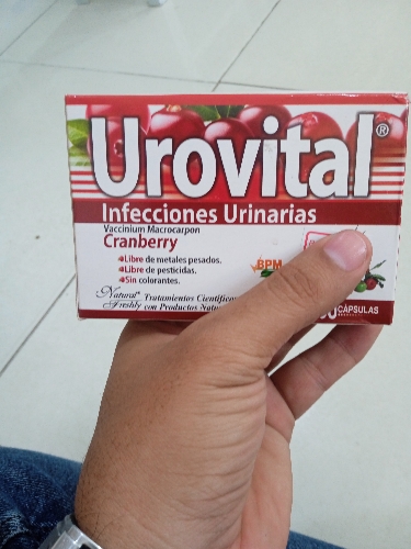 Urovital capsulas sobre x 10