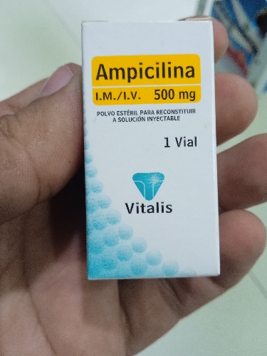 Ampicilina x 500mg inyectable