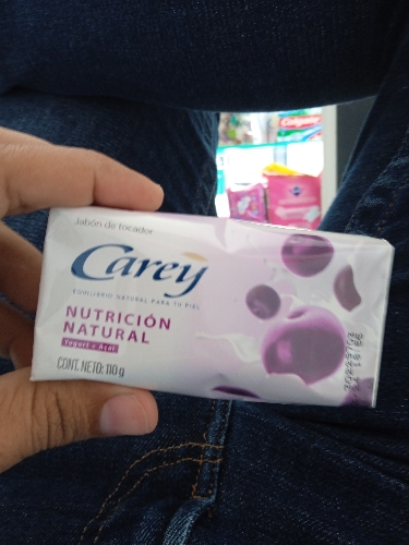 Carey Nutrición natural x 110g