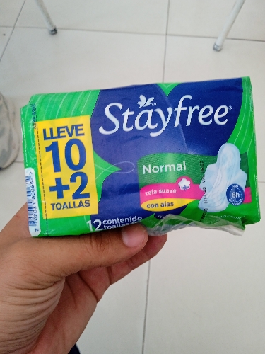 Stayfree con alas x 12