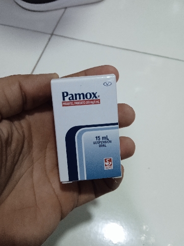 Pamox suspension x 15ml