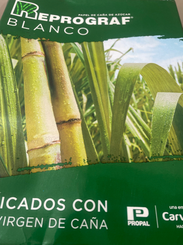 HOJA DE DIBUJO