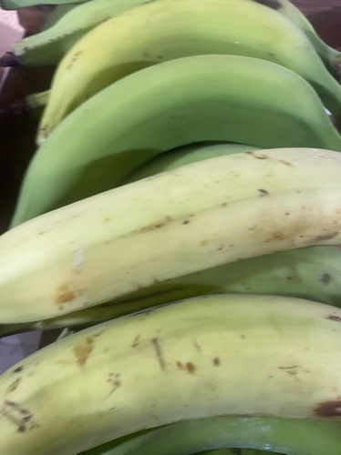 PLATANOS
