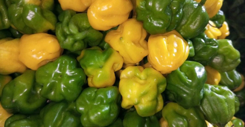 AJi DULCE