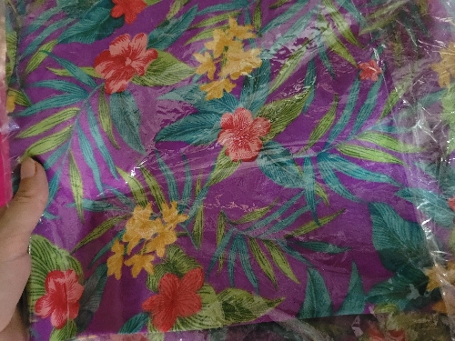 S056 musculosa