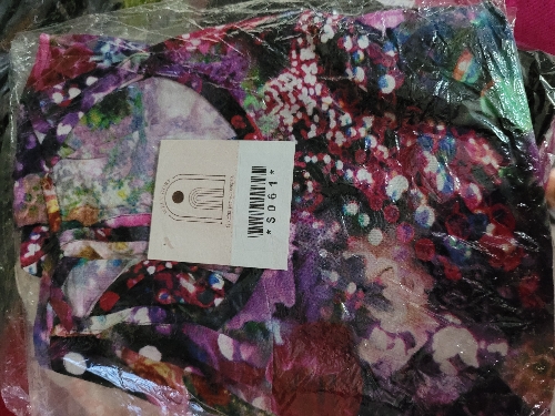 S061 musculosa