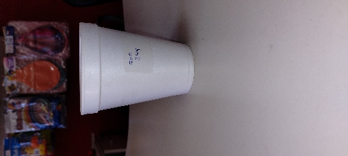 Vaso  termico de 300