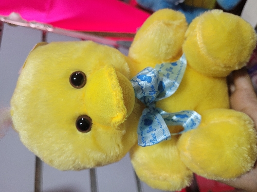 Patico o pollito economico