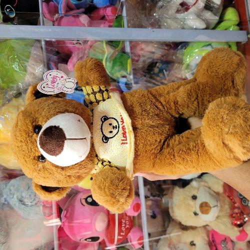 Oso bear mediano