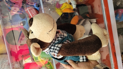 Mico con traje