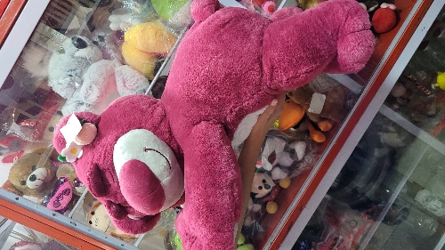 Oso lotso