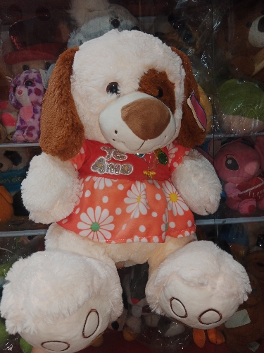 Perrita vestido