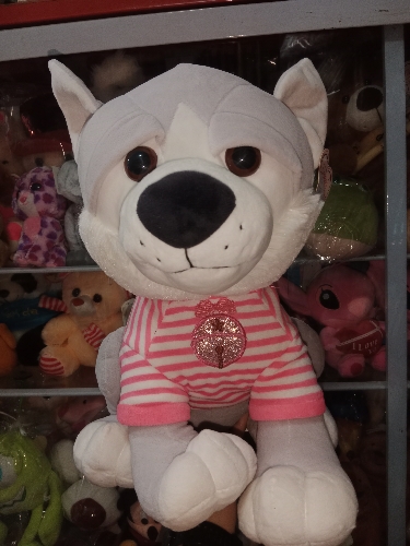 Perro lobo vestido rosa