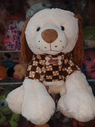 Perro camisa café