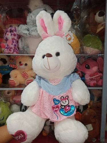 Coneja vestido