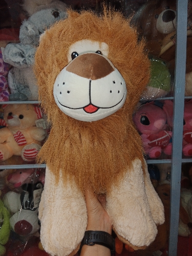 Leon grande