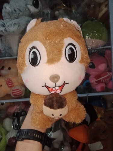 Ardilla