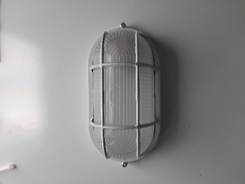 Foco Tortuga 100w blanco