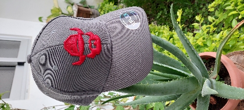 Gorra Xflex textura gris claro barbón rojo