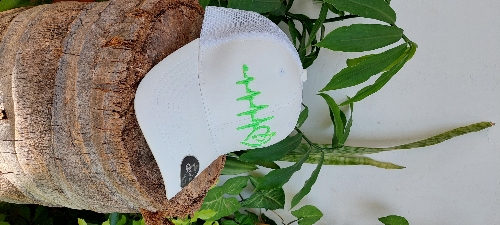 Gorra Caballo Blanca abierta