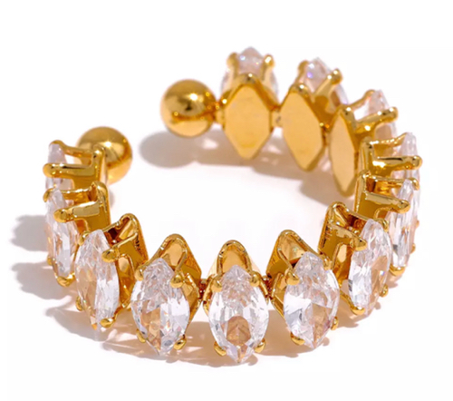 Anillo Steel zirconia variedad