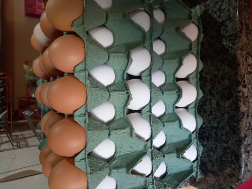 Ovos un