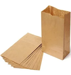 SACO PAPEL PARDO 15 X 16 250G