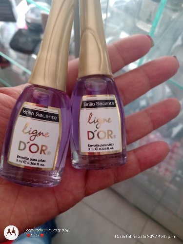 D1.Brillo secante Dor