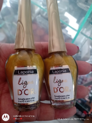 D1.Esmalte Dor laponia