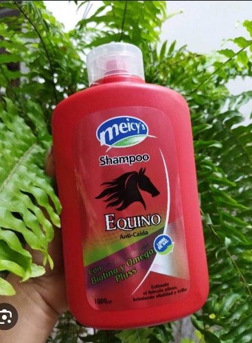 D1SHAMPOO EQUINO