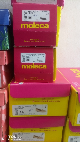 Zapato bajito Moleca