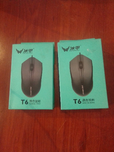 Mouse T6
