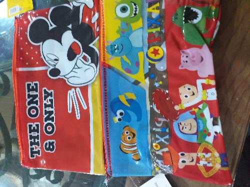 Estuche plastico