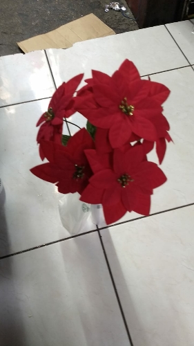 Noche Buena ARTIFICIAL