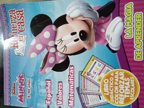 MINNIE REFUERZO EN CASA