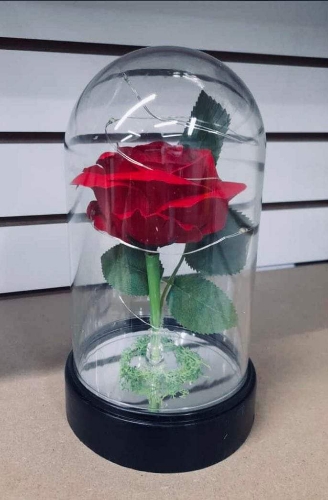 Flor eterna