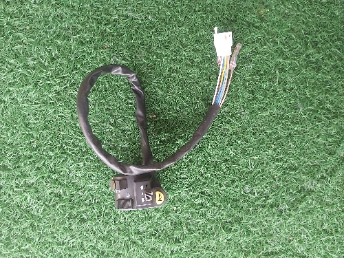 Cerebro izquierdo gy200 leixa
