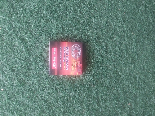 Rines cg200 std