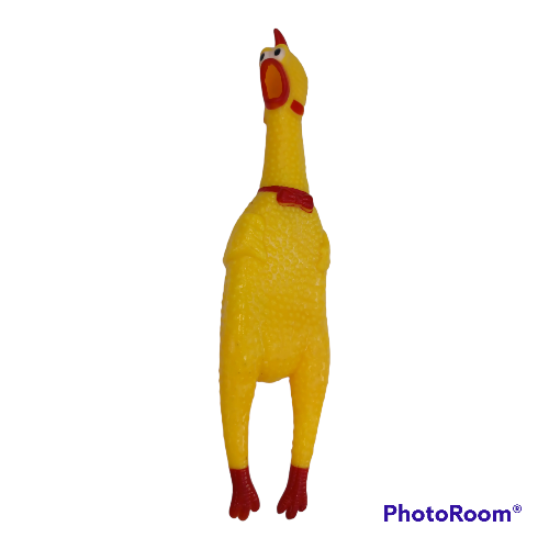 Pollo chillón